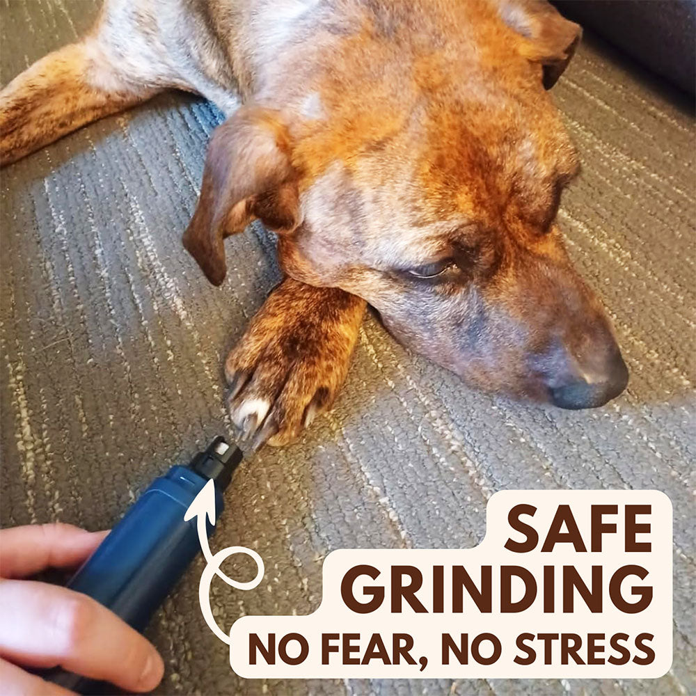 The Original ClipMyPaws PetGRINDX™ Painless Pet Nail Grinder