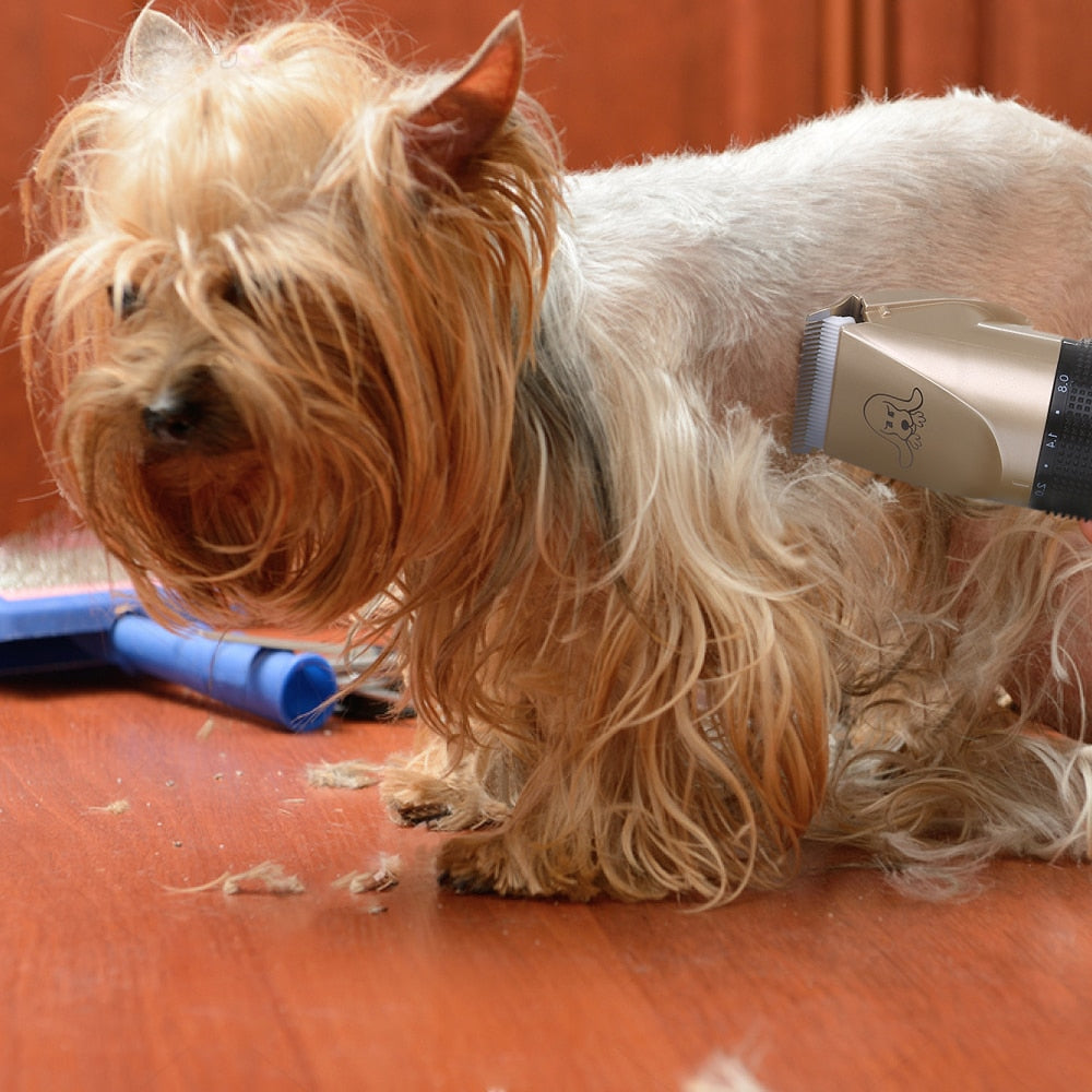 ClipMyPaws™ Low Noise Pet Grooming Clipper