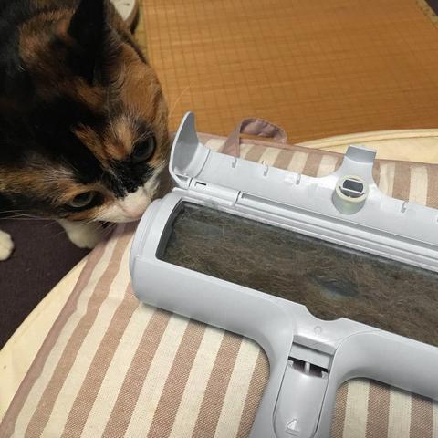 Furfo™ Pet Fur Roller Cleaner