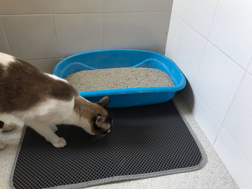 Cat Litter Catcher Double-Layer Mat