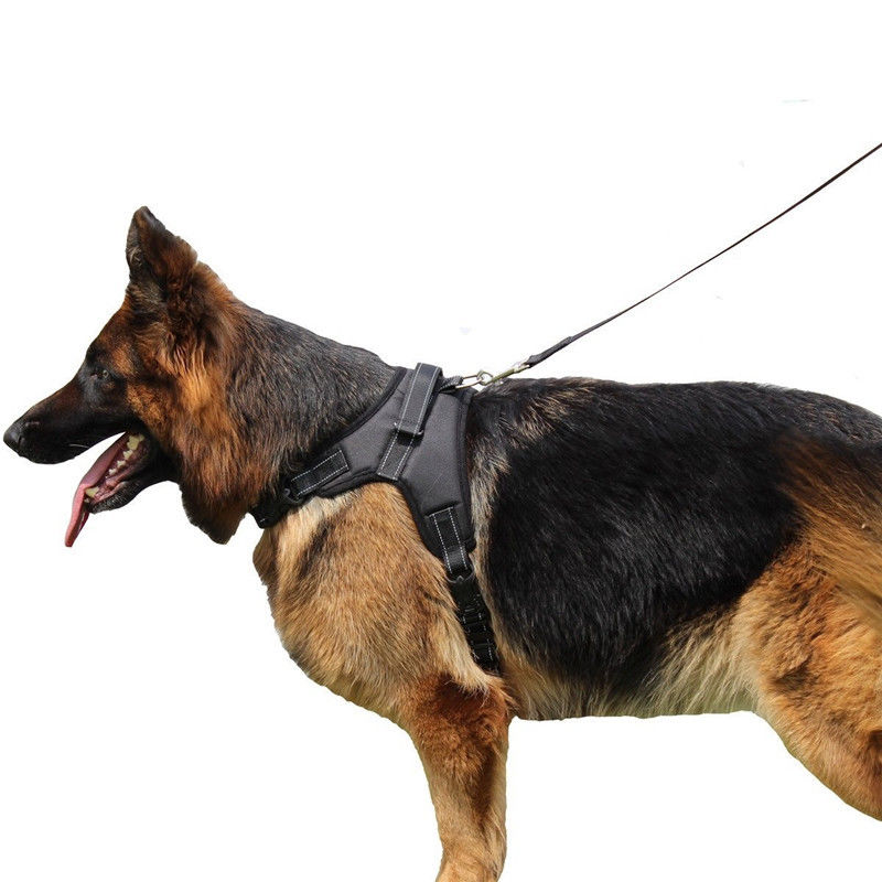 WonderHarness™ No-Pull Dog Harness