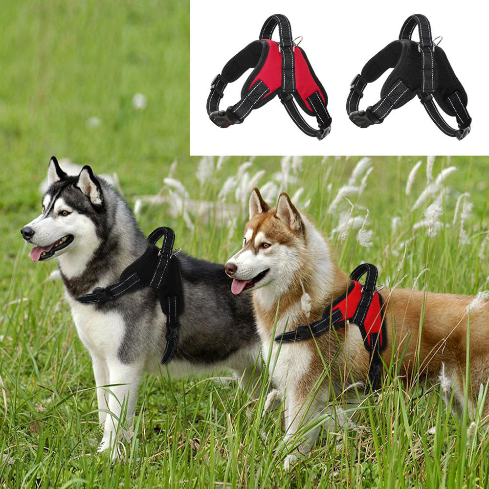 WonderHarness™ No-Pull Dog Harness